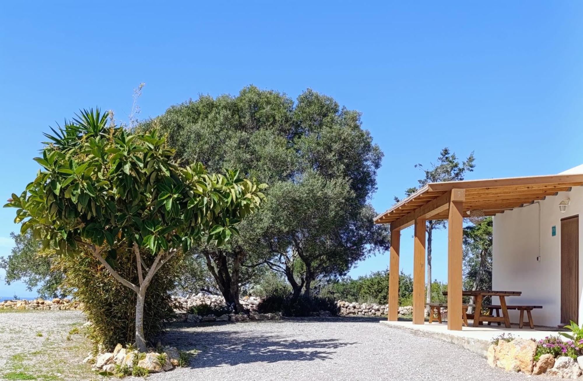 Sa Vinya Casa De Campo Es Cubells Zewnętrze zdjęcie